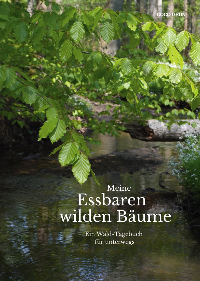 Galeriebild