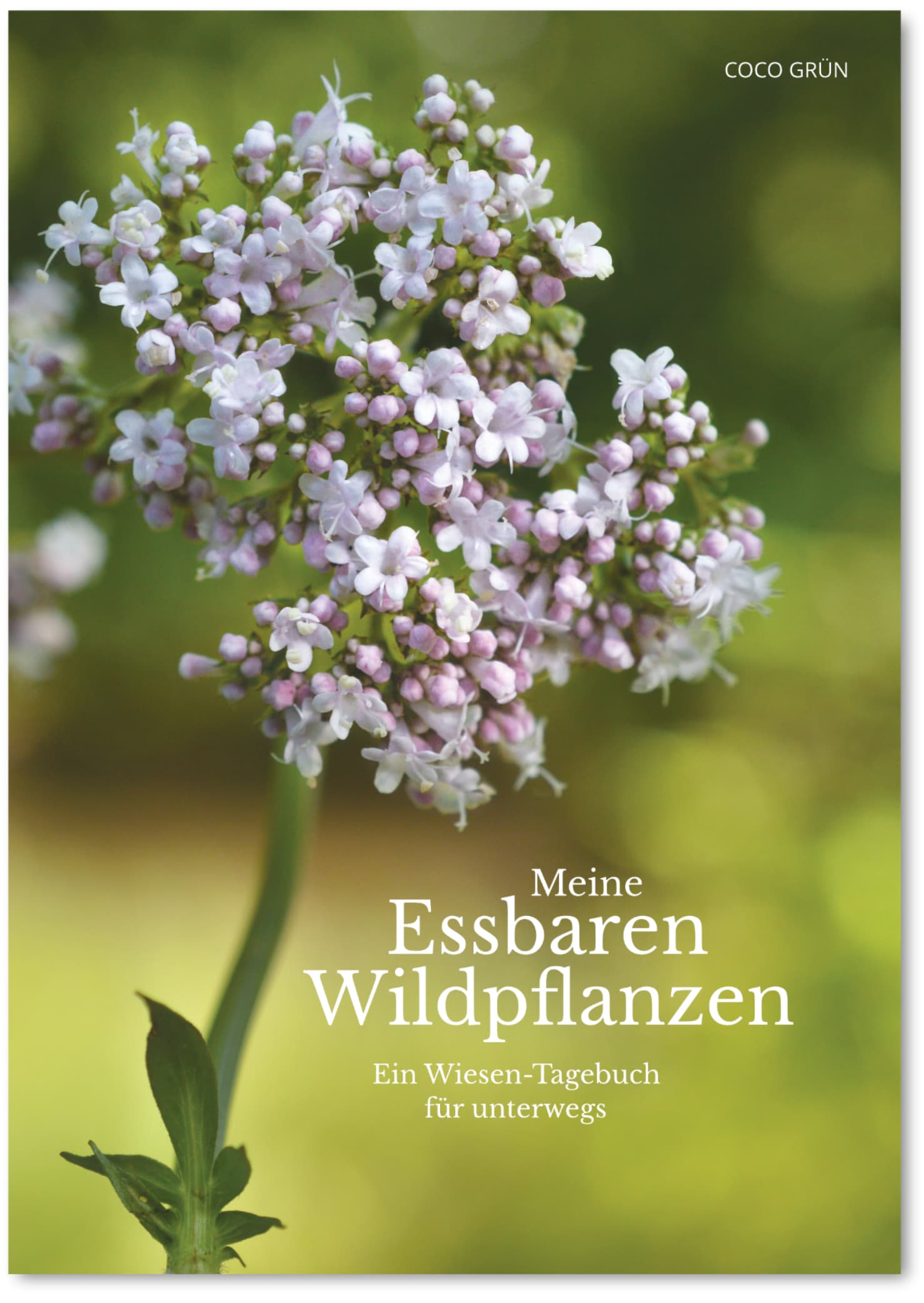 Galeriebild
