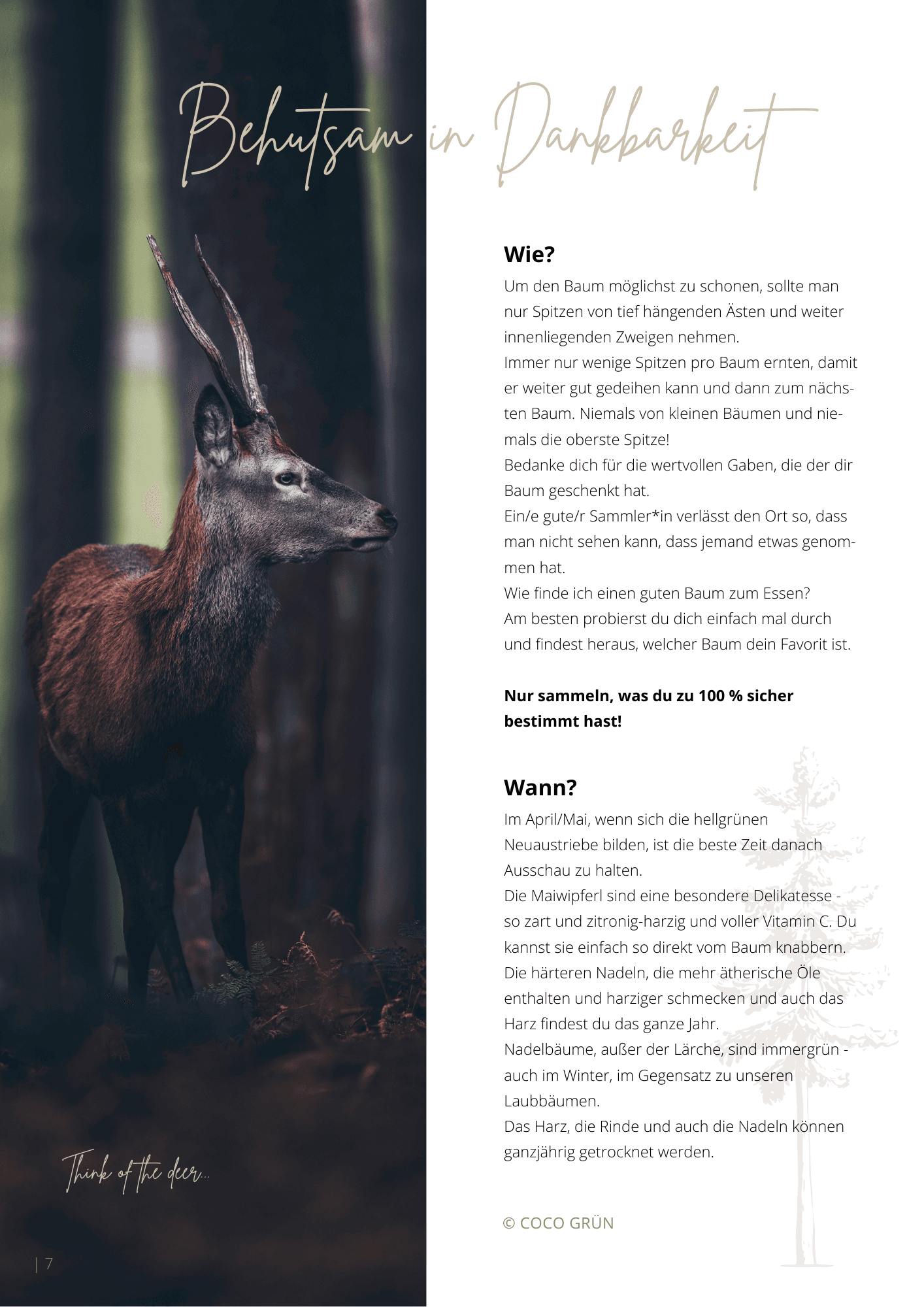 Galeriebild