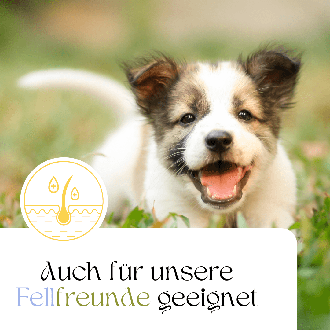 Galeriebild