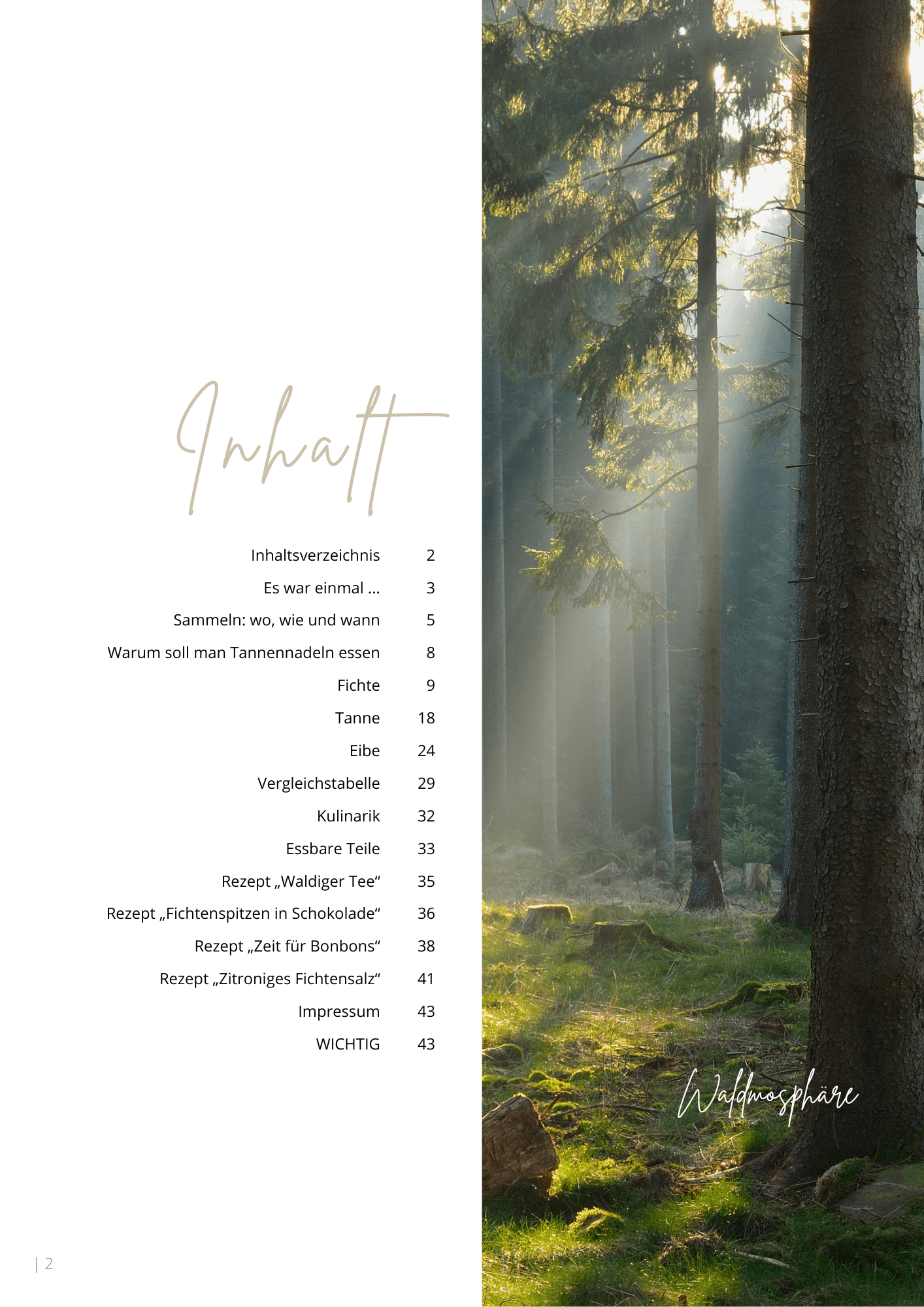 Galeriebild