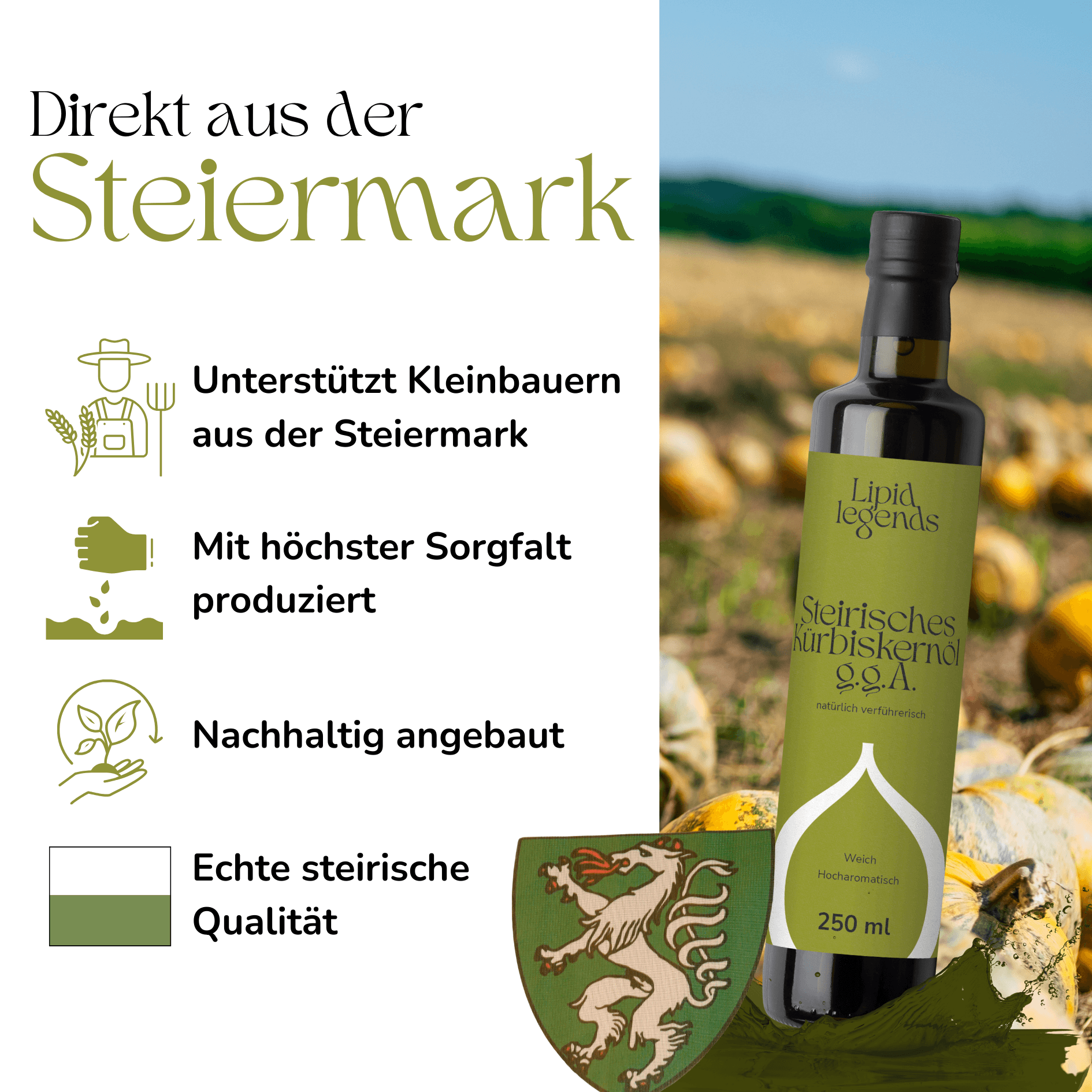 Galeriebild