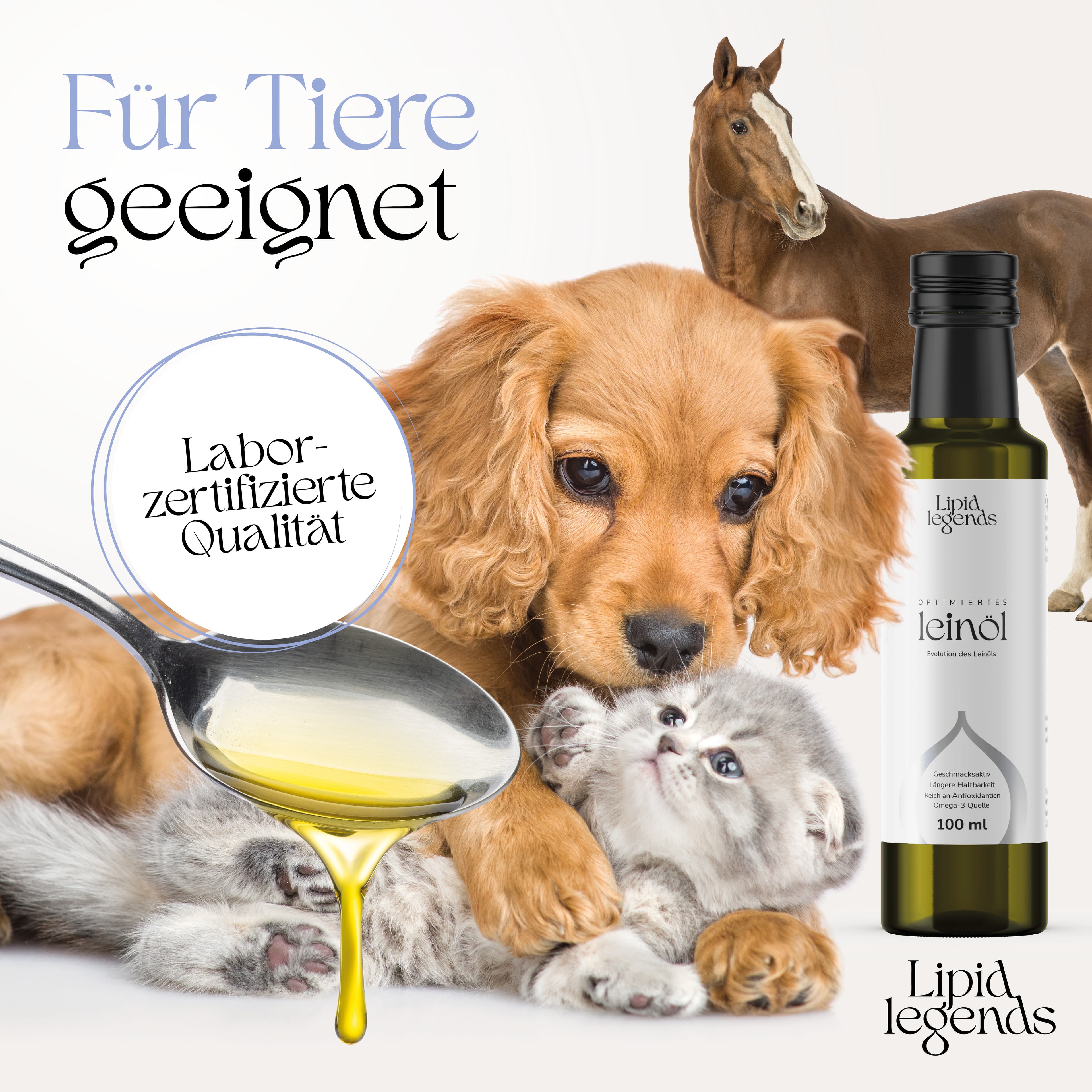 Galeriebild