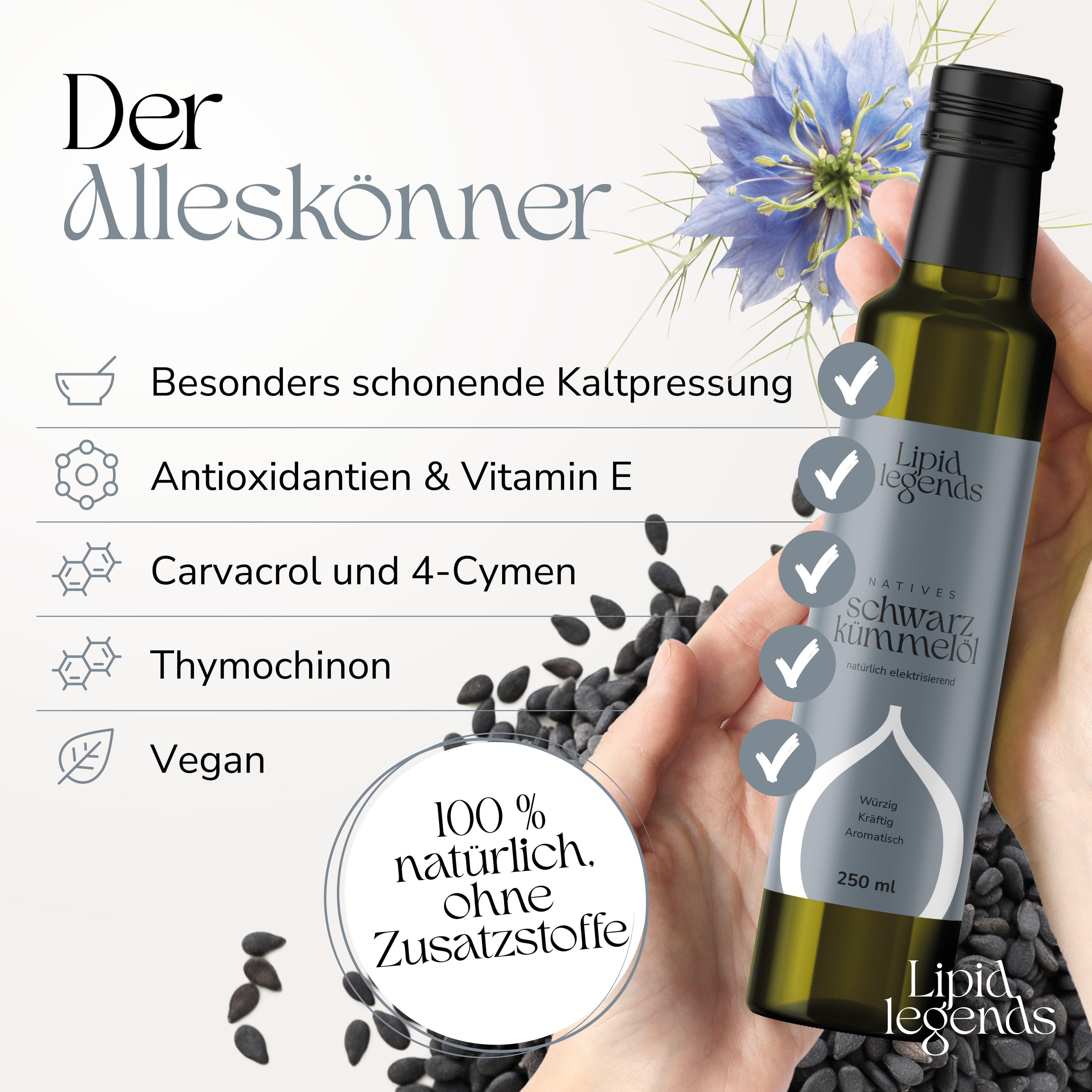 Galeriebild