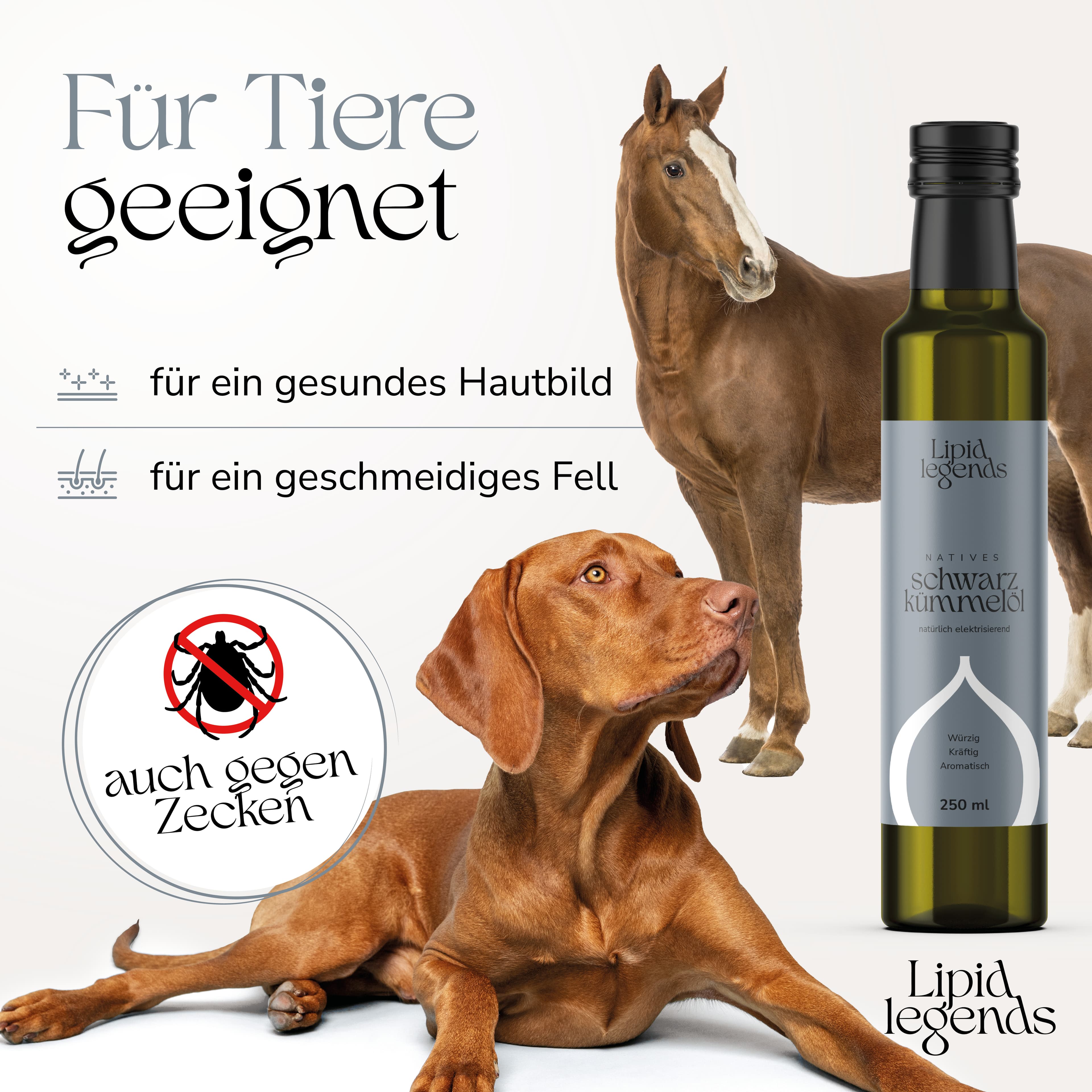 Galeriebild