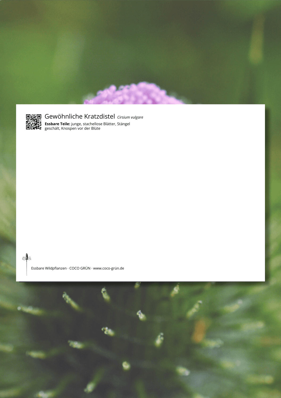 Galeriebild