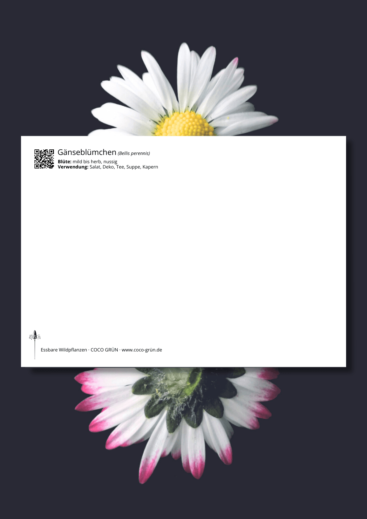 Galeriebild