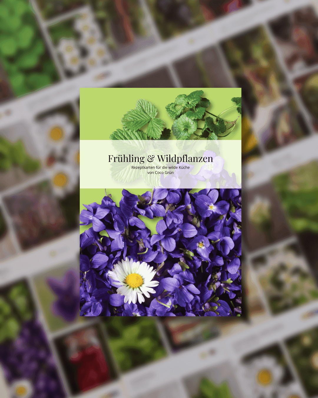 Galeriebild