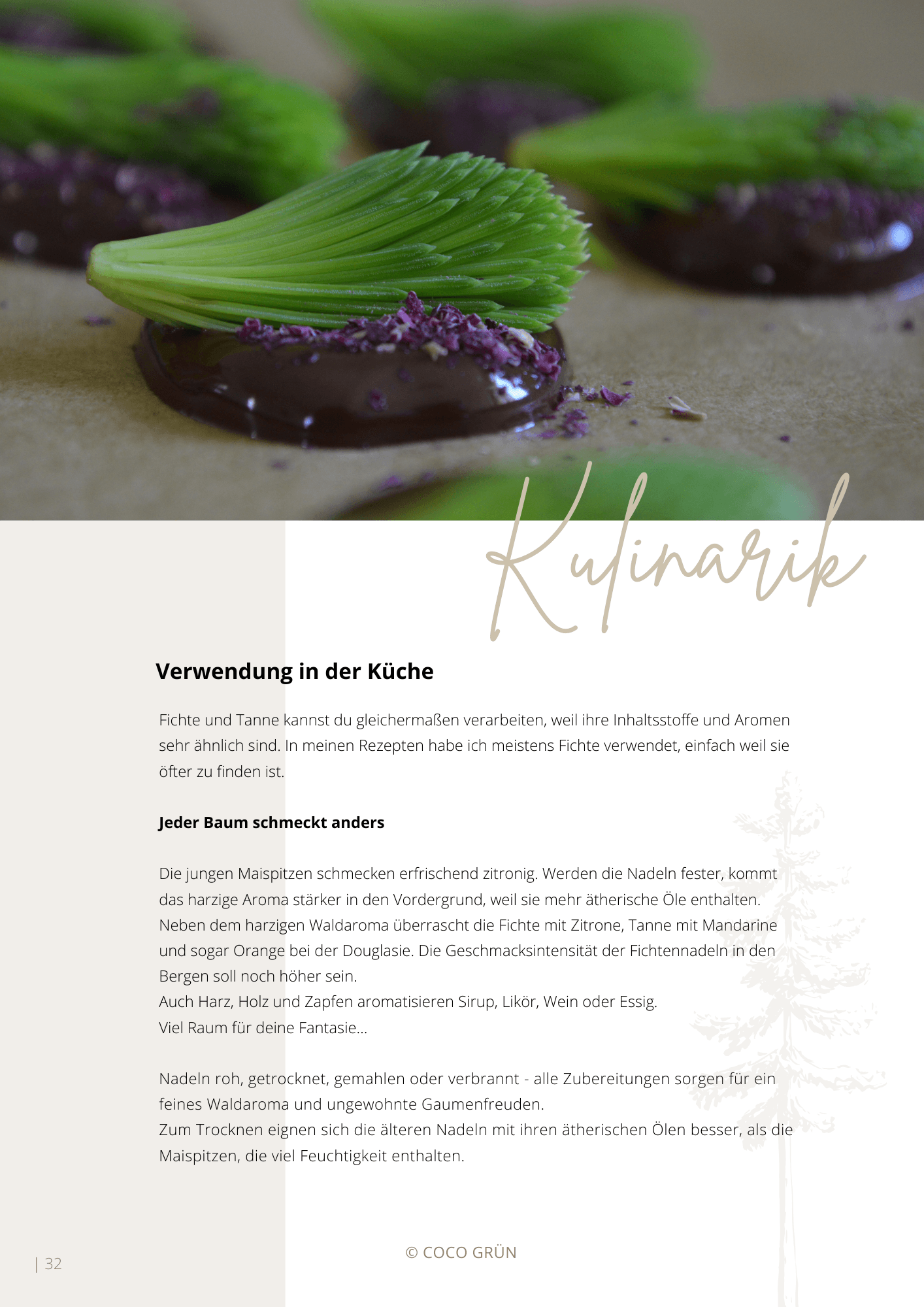 Galeriebild