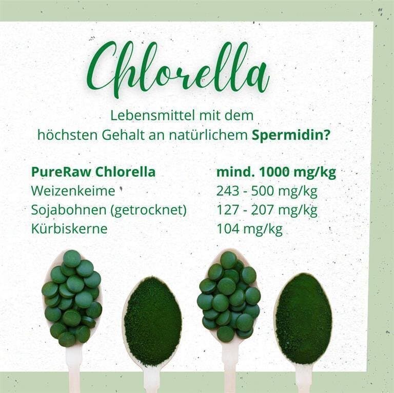 Galeriebild